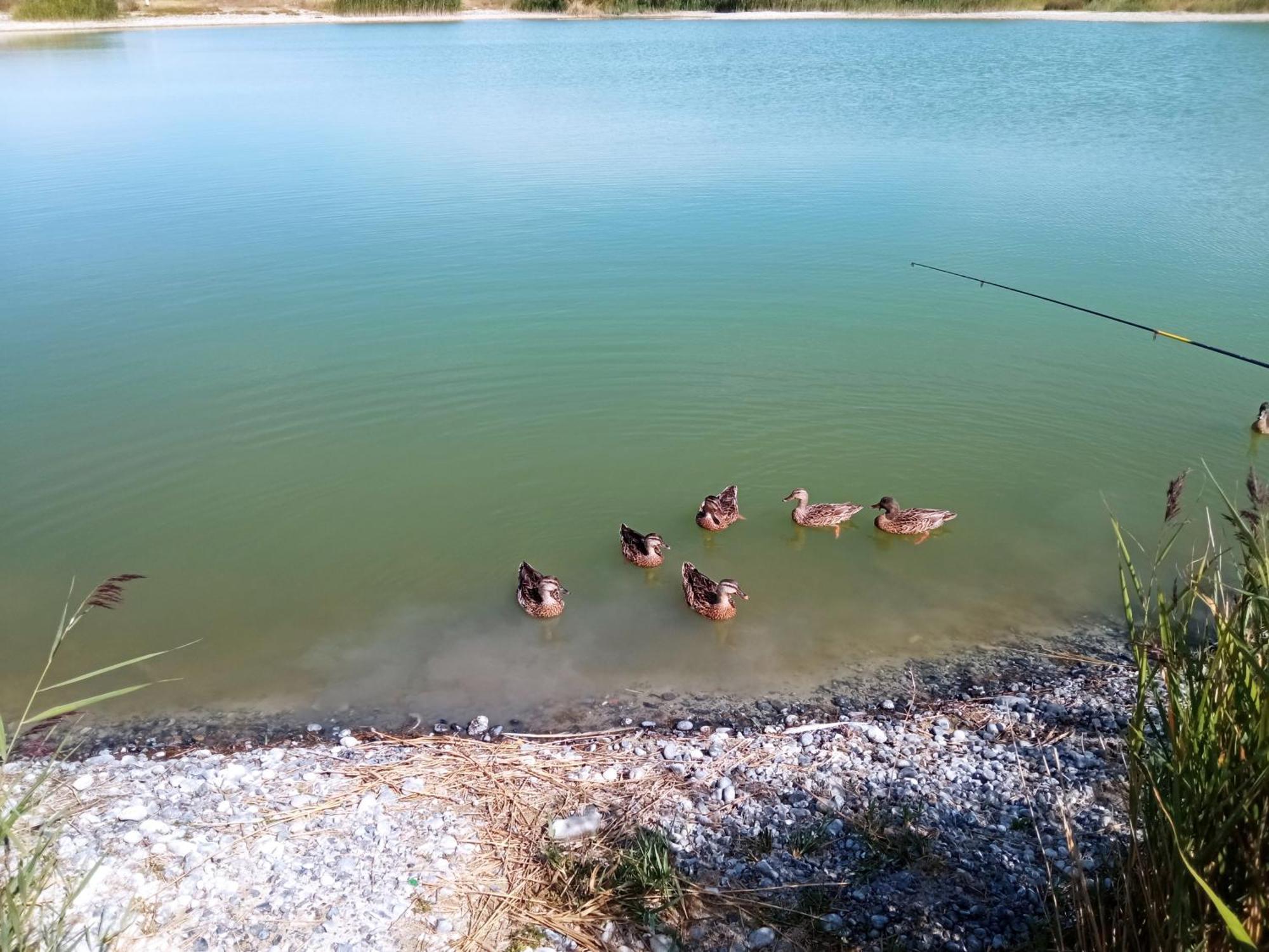 Gite Repos Et Tranquillite G Cayeux-sur-Mer Dış mekan fotoğraf