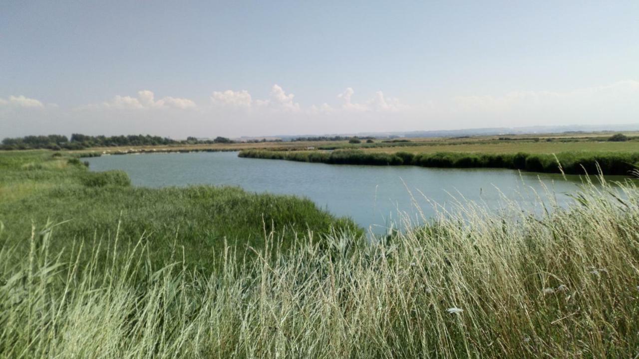 Gite Repos Et Tranquillite G Cayeux-sur-Mer Dış mekan fotoğraf