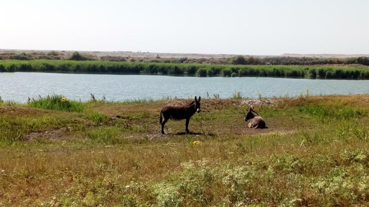 Gite Repos Et Tranquillite G Cayeux-sur-Mer Dış mekan fotoğraf